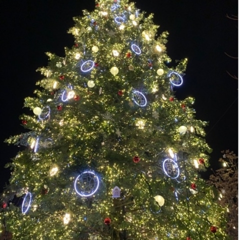ストラスブールの街の中心に設置されている大きなモミの木でできたツリー。クリスマスマーケットにて。