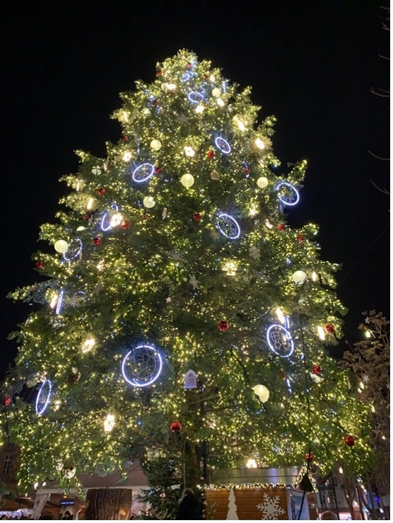 ストラスブールの街の中心に設置されている大きなモミの木でできたツリー。クリスマスマーケットにて。