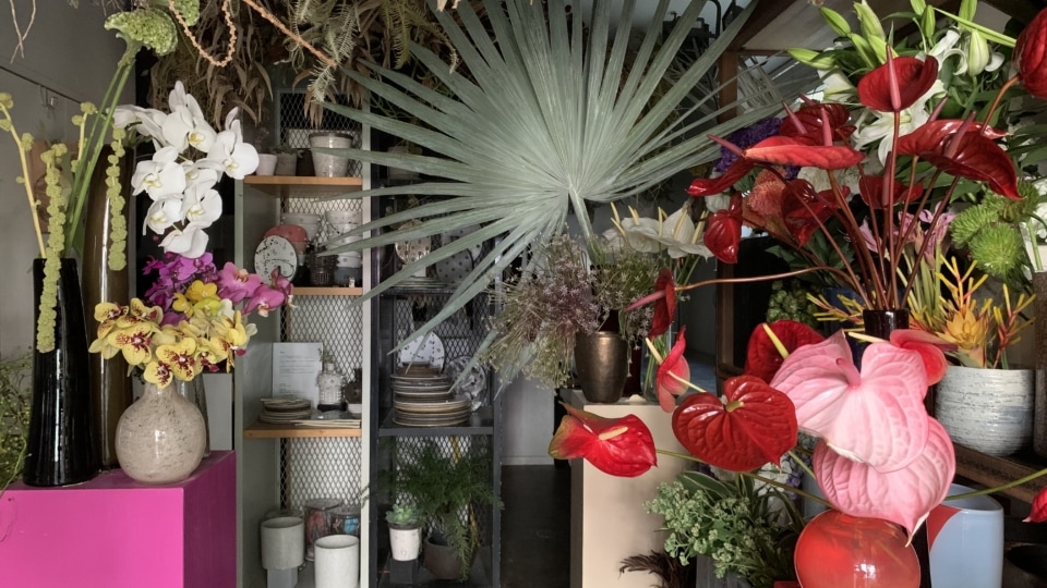 logi plants & flowers店内写真