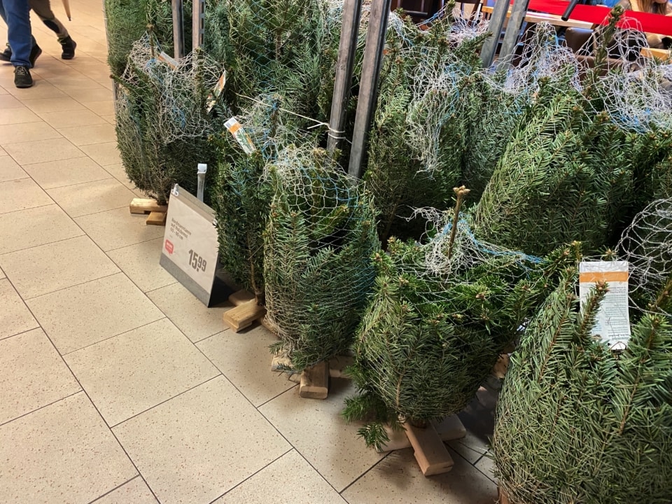 ドイツのスーパーに並ぶモミの木