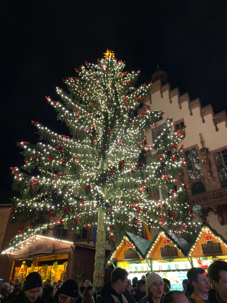レーマー広場の巨大クリスマスツリーと旧市庁舎。