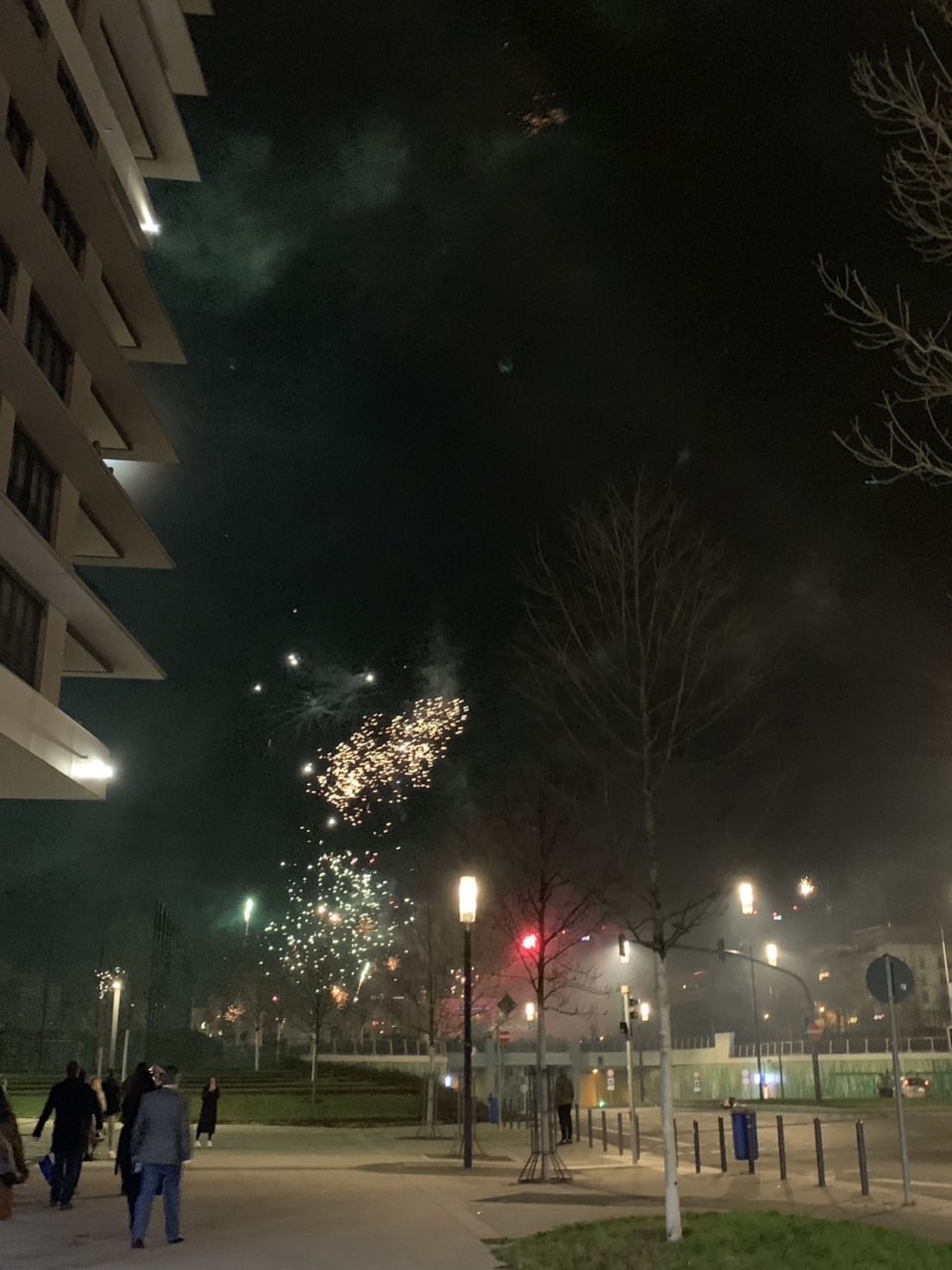 新年を迎えるタイミングで打ち上げられるドイツの花火。