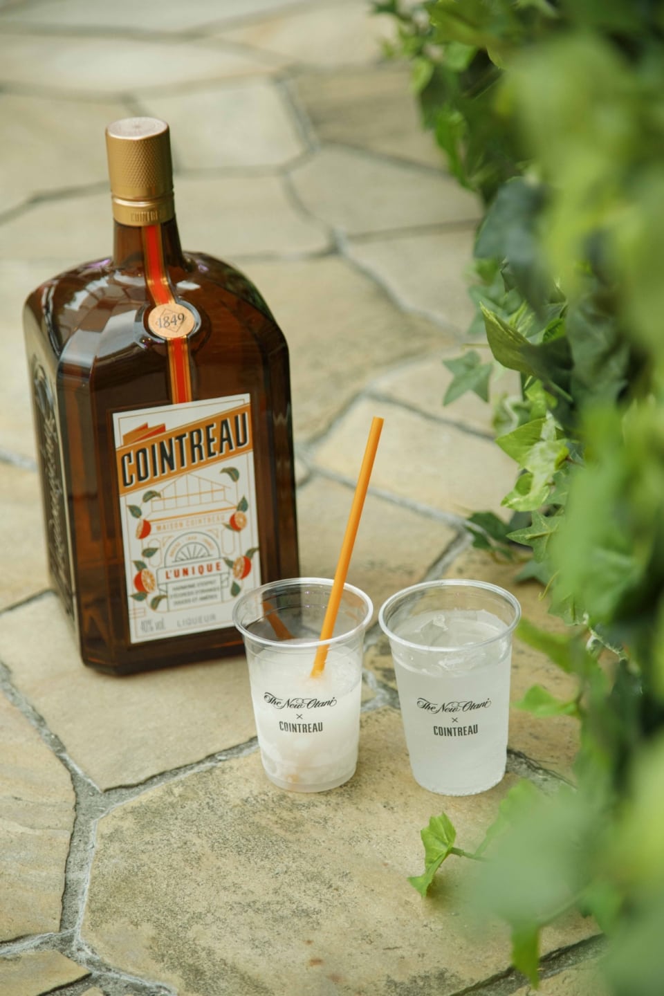 COINTREAU コアントロー 電飾 おしかっ