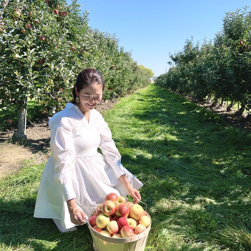 アメリカ・シカゴの秋は東京ドーム8.5個分の農場で「アップルピッキング」！ 楽しすぎる秋の風物詩3選｜【公式】オトナミューズ ウェブ（otona  MUSE）