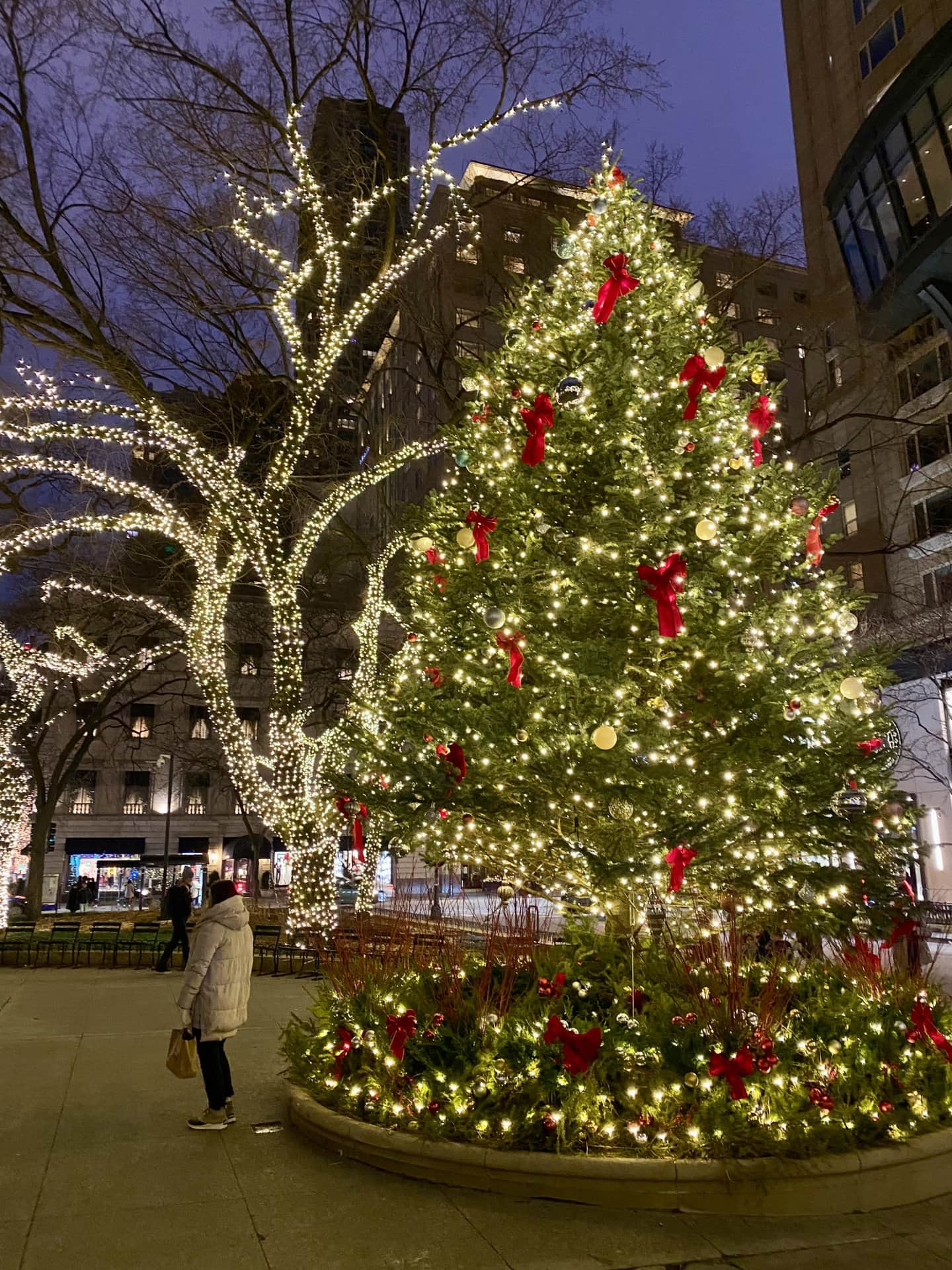 ホームアローンのロケ地に、本場顔負けなクリスマスマーケット 