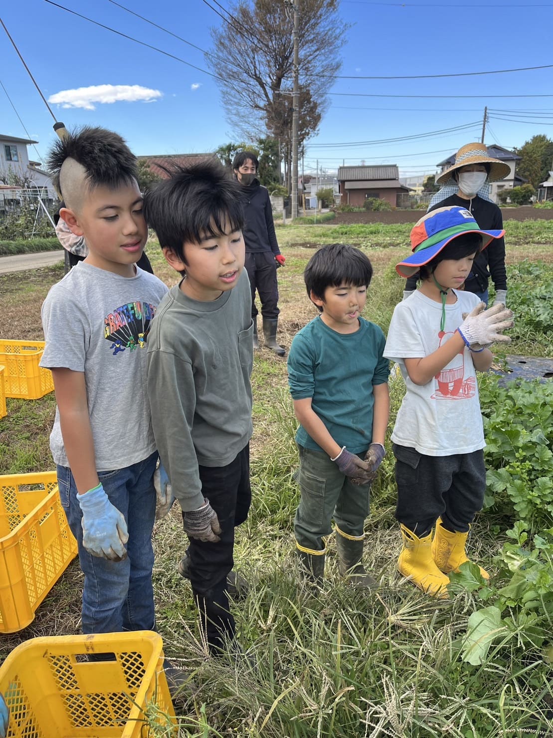 熟練農園スタッフの手さばきを全集中で見つめます。