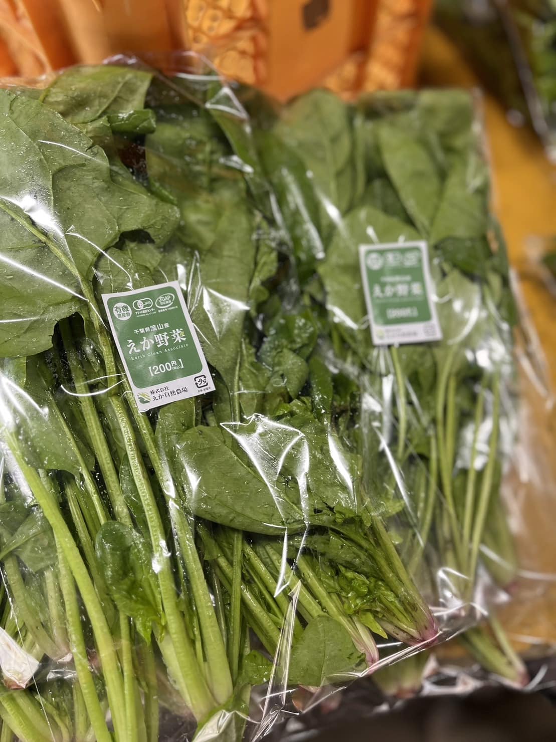 新鮮小松菜は農園近隣のファミリーマートへ出荷されます。