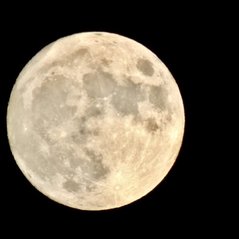 水星も逆行中。8月の満月は20日の3時26分！17日から体調の変化に注意【今月の不調予報】