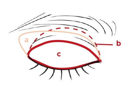 No.1シャドウのaを大きめのブラシで少し外側にハミ出させながら上まぶた全体に。bをアイホールに重ねる。下まぶた全体にもbをなじませ、囲み目に。cを二重幅より狭めの範囲と下まぶたのキワ全体になじませる。