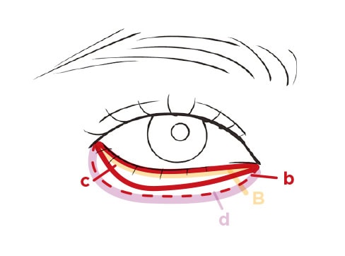 dを下まぶたのアイシャドウと肌の境目に重ねてぼかす。Bを下まぶたのまつ毛の生え際に引く。まつ毛にはシアーなプラムのマスカラDを。上まつ毛はさらっと、下は根元にぽってりつくように塗って。眉にピンクのアイブロウマスカラCを塗ってトーンを揃える。