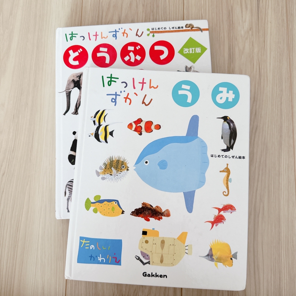 『はっけんずかん うみ』『はっけんずかん どうぶつ』（Gakken刊）