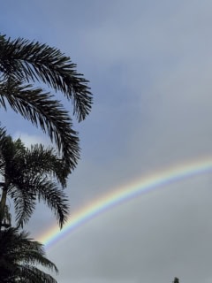 この夏休みは、雨季でもないのにすごーい雨が降っていて、虹がよく出てたよ