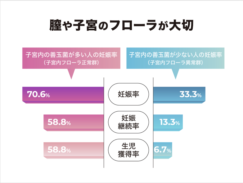 子宮内の善玉菌の数の違いによる妊娠率