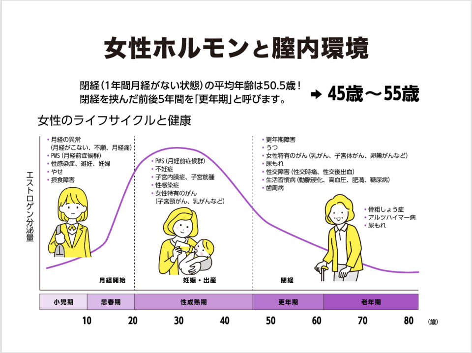 女性ホルモンと腸内環境