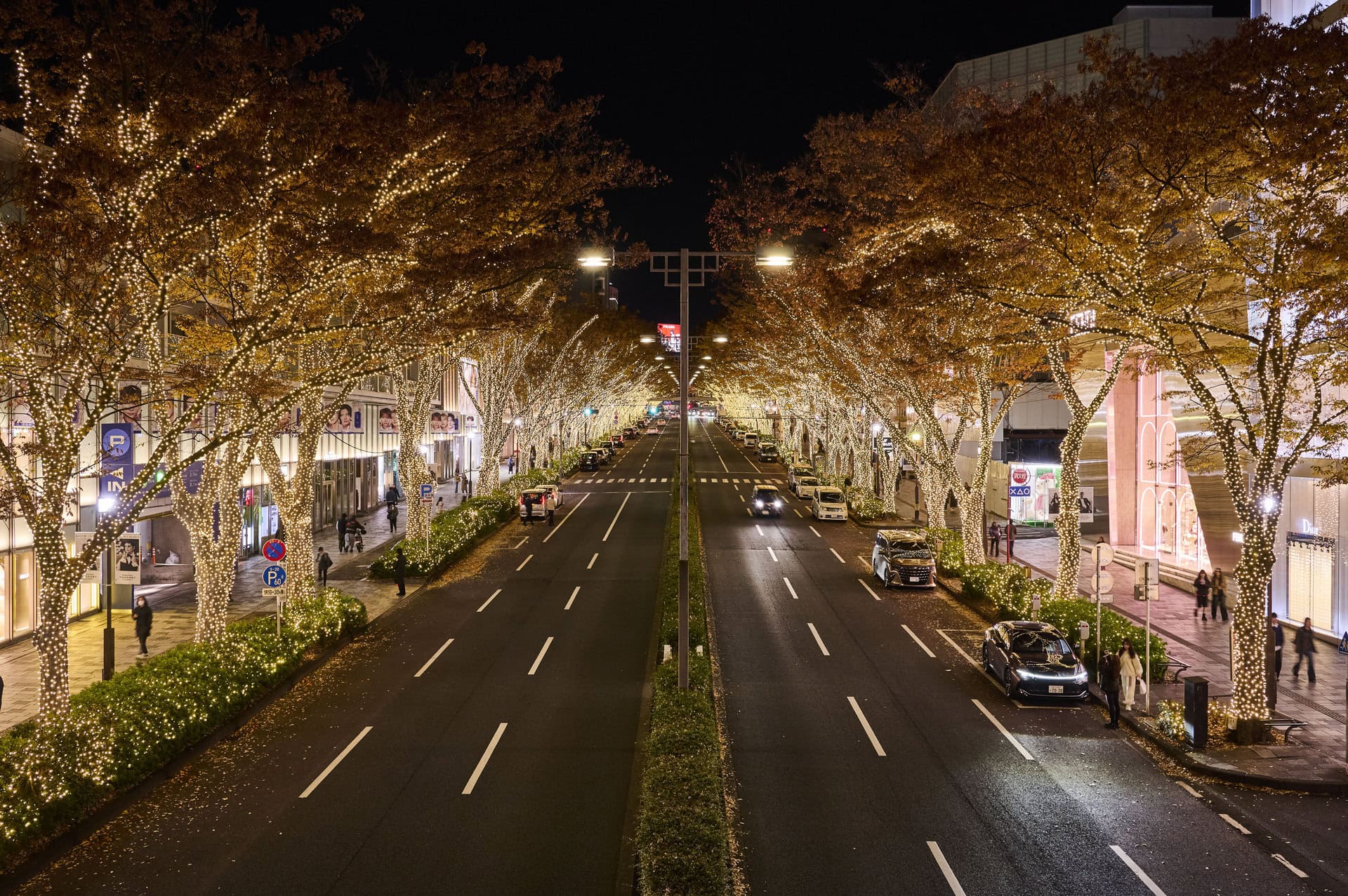 歩道橋上からの青山方面への絶景がこちら！