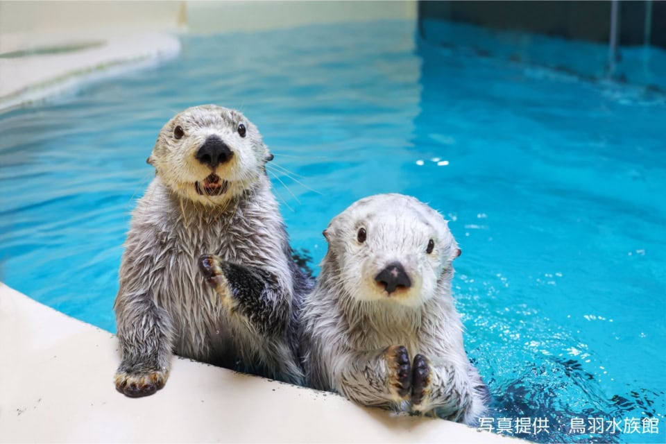 鳥羽水族館