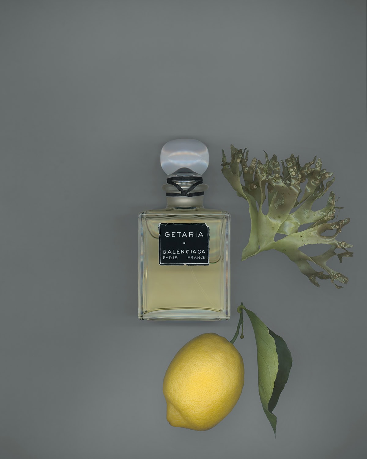 香水〈ゲタリア パルファム〉100mL ¥46,090※予定価格（バレンシアガ／バレンシアガ クライアントサービス）