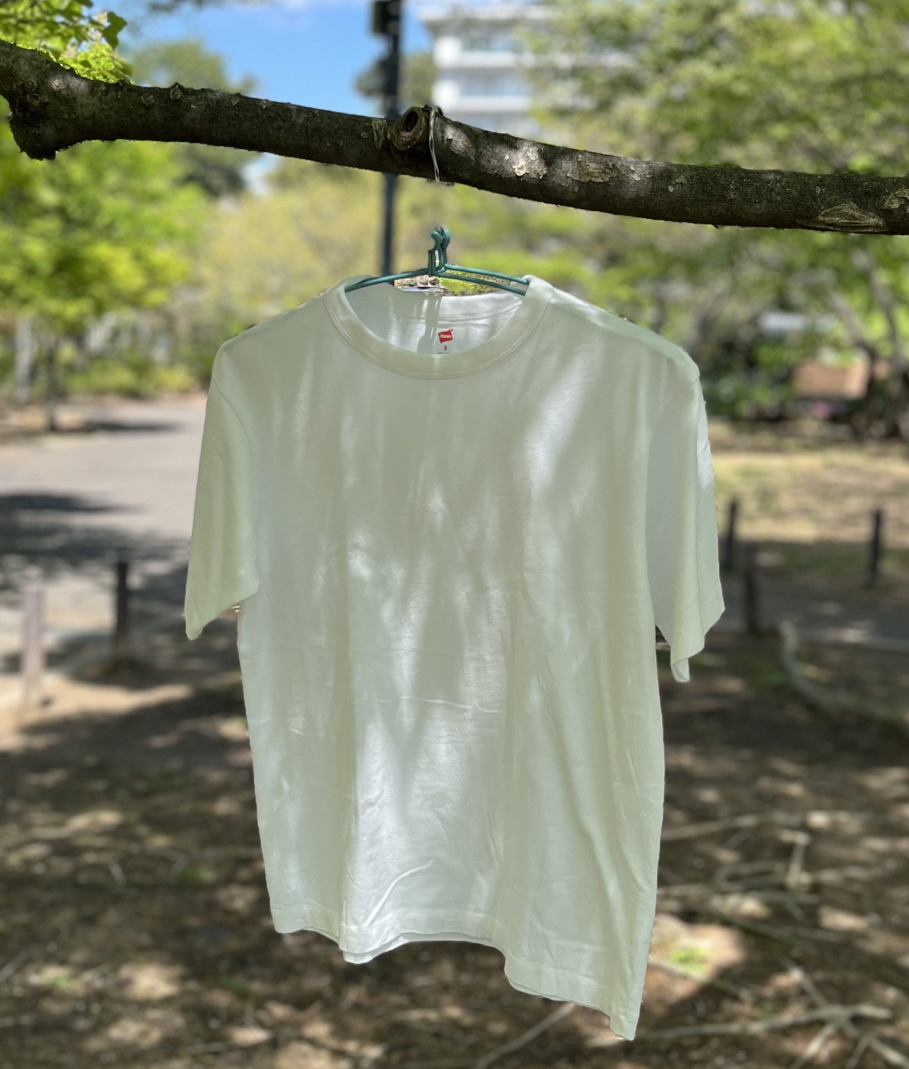 【50％OFF】 ほどゆるシルエットが絶妙【Hanes BIOTOP】のメンズのパック for トップス