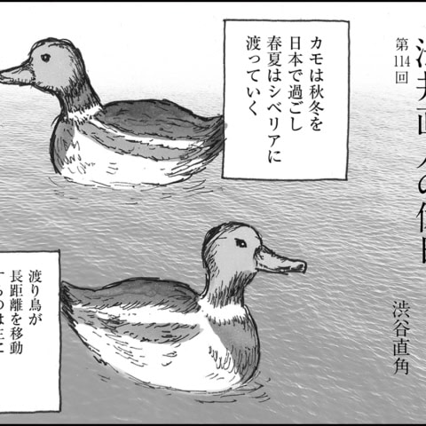 職場内の亀裂がついに決定的に。これは修復できるのか!?【連載マンガ】デザイナー 渋井直人の休日