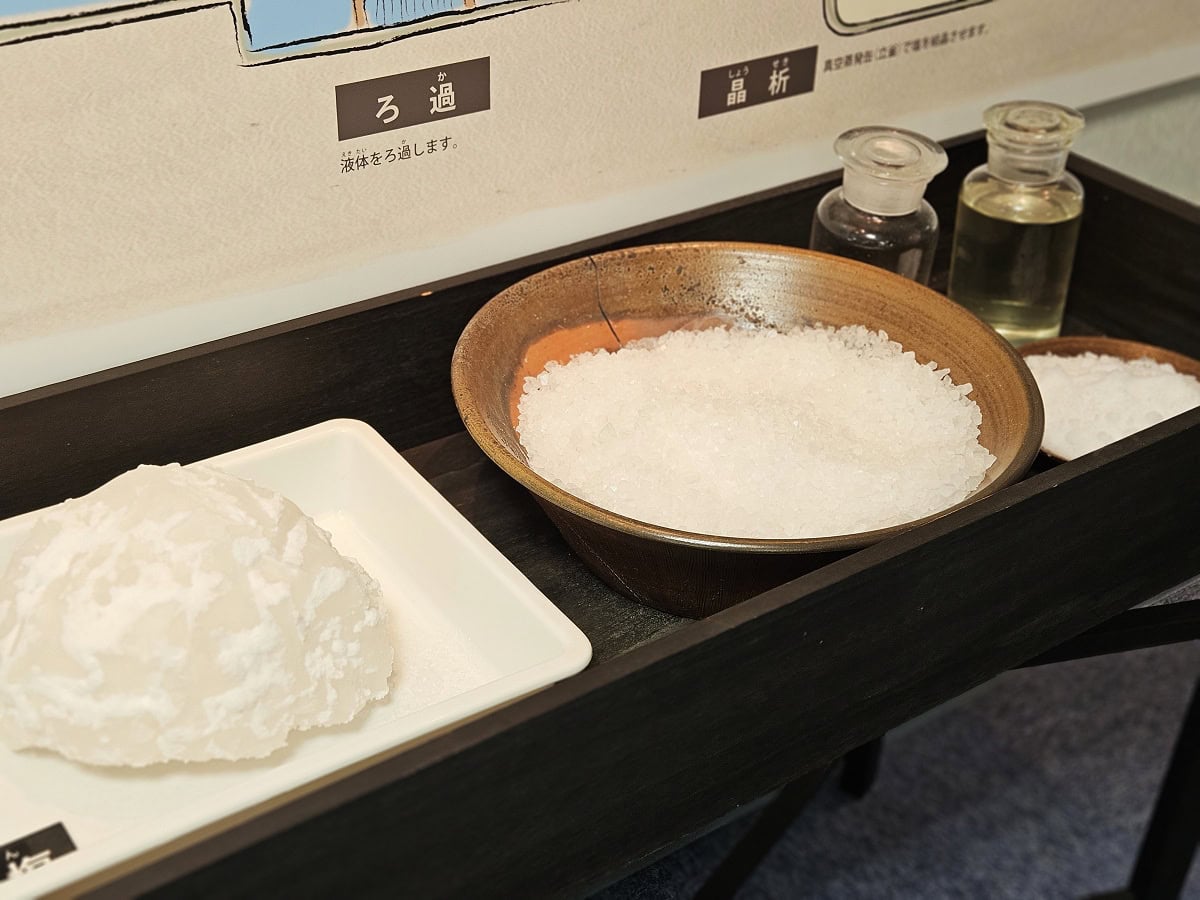 人のからだの中には約230gの塩が常に保たれている