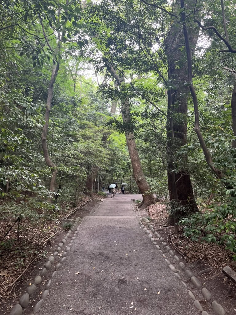 本宮裏の森がこちら。この先に清水社や大楠などがあります