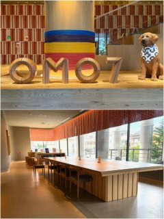 OMO７高知 by 星野リゾート