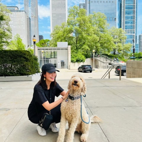 犬の散歩で年収1500万円!? アメリカ・シカゴで体験した「ドッグウォーカー」とペット事情
