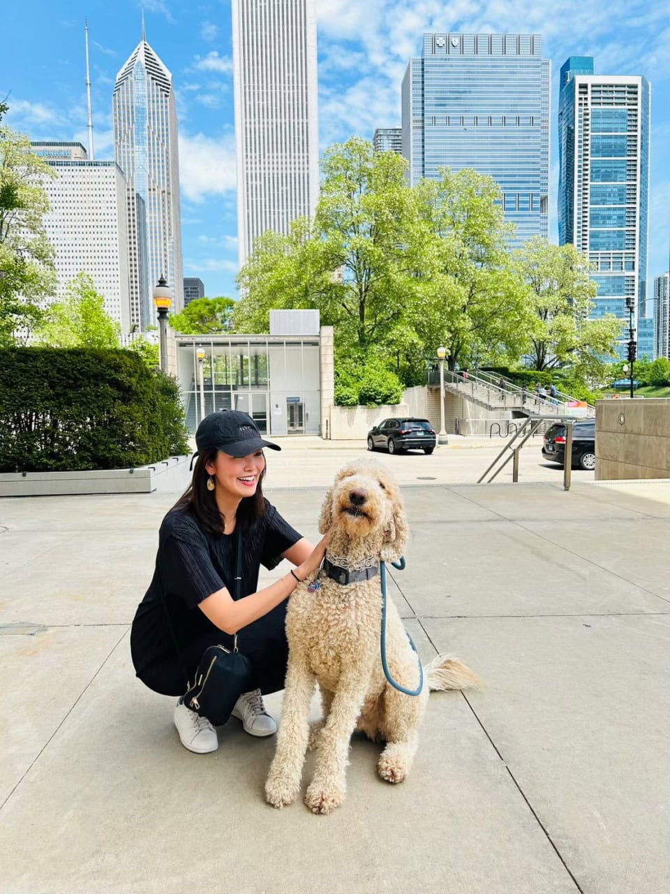犬の散歩で年収1500万円!? アメリカ・シカゴで体験した「ドッグウォーカー」とペット事情
