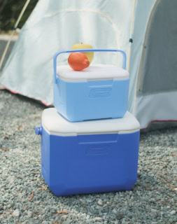 クーラーボックス［小］〈テイク6〉¥2,420、［大］〈エクスカーションクーラー/16QT〉¥4,290（共にコールマン／コールマン カスタマーサービス）
