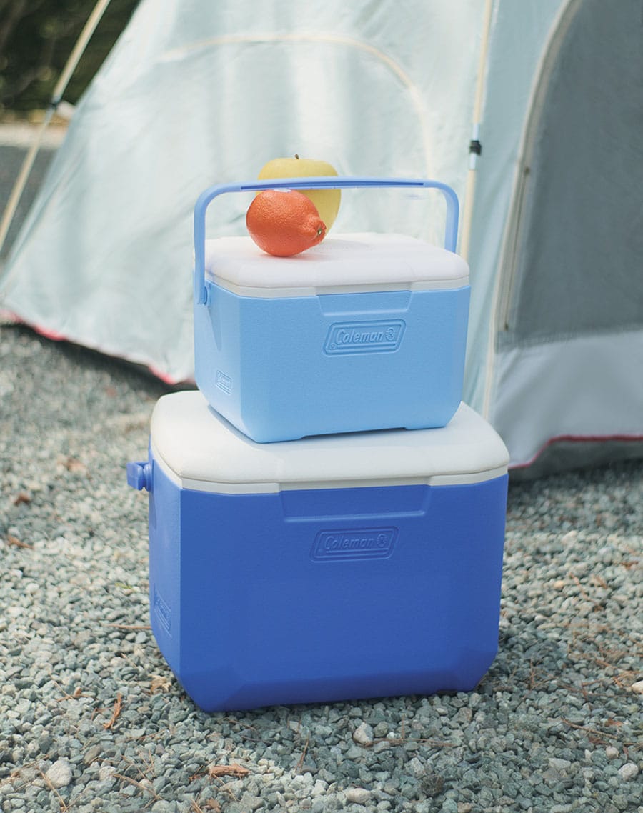 クーラーボックス［小］〈テイク6〉¥2,420、［大］〈エクスカーションクーラー/16QT〉¥4,290（共にコールマン／コールマン カスタマーサービス）
