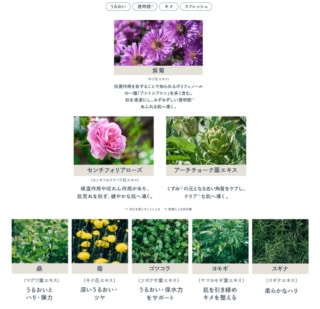 「ワフィト」のデリケートゾーン用泡ソープ「インティメイト フォーミングウォッシュ フレッシュミント」