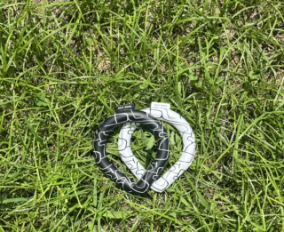 「SUO RING 28° ICE modern Mサイズ」各￥3,190（SUO）