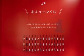 「おミューンくじ」心地よく生きるヒントが書かれたくじを引いてみて