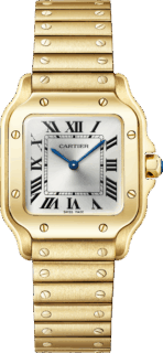 Antoine Pividori © Cartier
