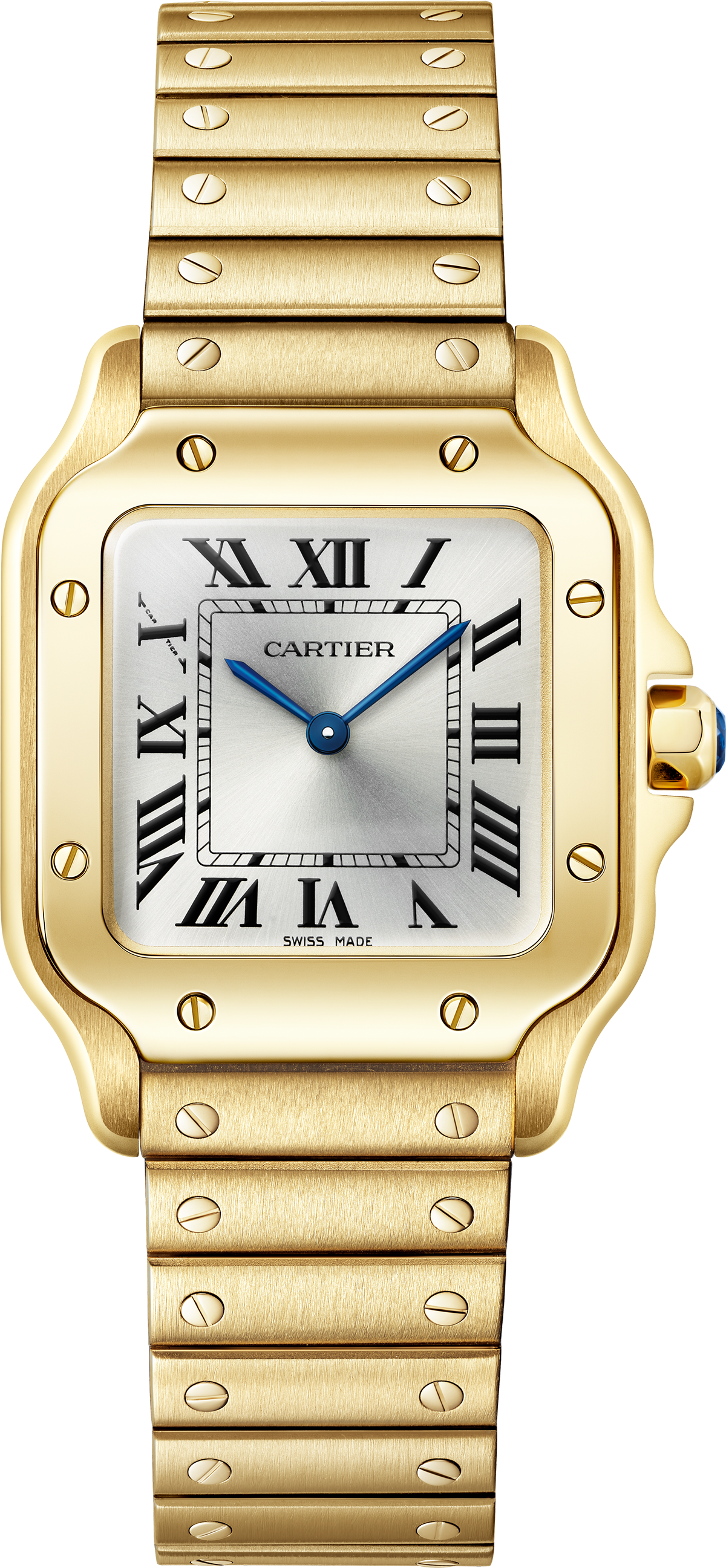 Antoine Pividori © Cartier