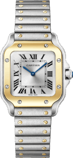 Antoine Pividori © Cartier