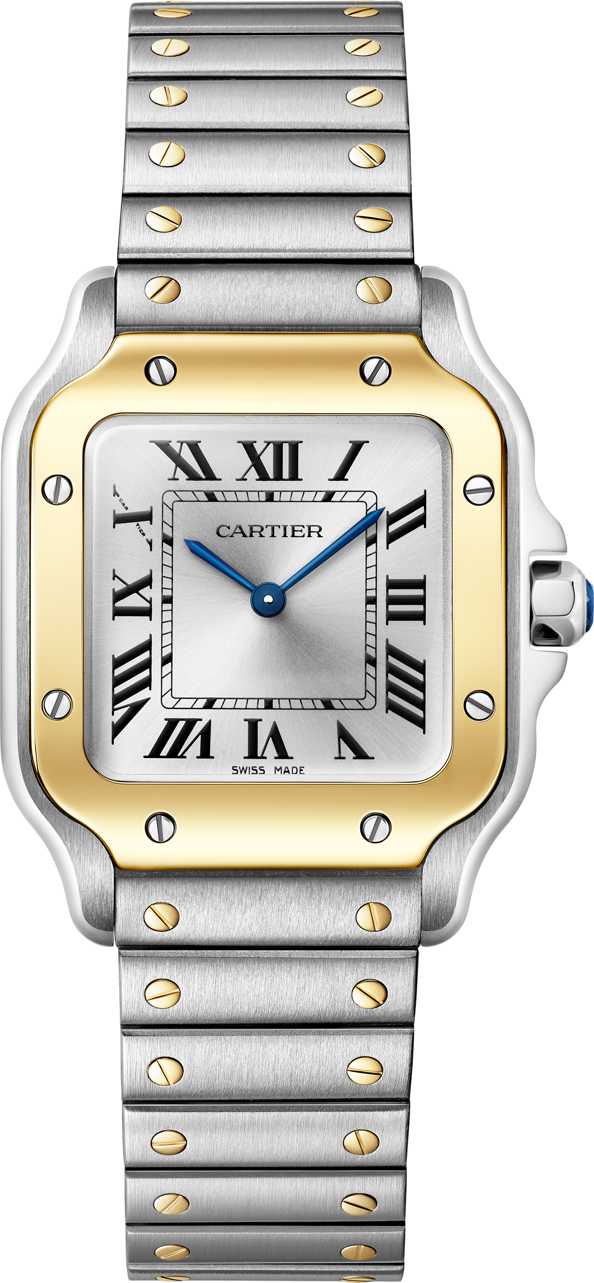 Antoine Pividori © Cartier