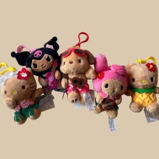 ワイキキの街にたくさんある『ABC STORE』で17.99ドル。2つだと34ドル