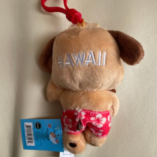 ポチャッコの後姿。”HAWAII”の刺しゅう入り。ちなみに『サンリオキャラクター大賞2025』1位のポムポムプリン、2位のシナモロール、3位のポチャッコ、全員ワンちゃんですね！
