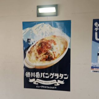 ロープウェイに乗るときから、ずっと気になっていたの、あのポスター。