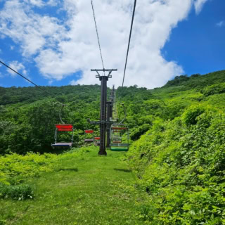 レトロなリフトは足元を見ると貴重な高山植物を見つけることもできて、初夏も涼しい風が吹き抜け、なんとも心地いいんです。