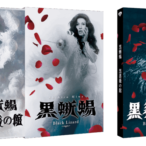 祝90歳！麗しき美輪明宏さんの幻の豪華サスペンス【DVD＆Blu-ray化】若かりし田村正和さんも拝めます