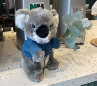Koalaのブランドキャラクター・コアラのココちゃん。