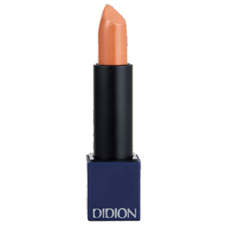 DIDIONのプランピング リップスティック 09 Classy Skinは本人私物