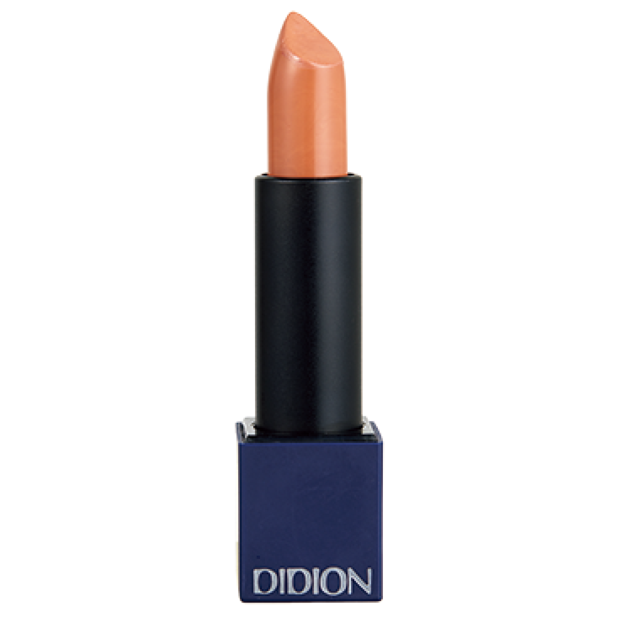 DIDIONのプランピング リップスティック 09 Classy Skinは本人私物