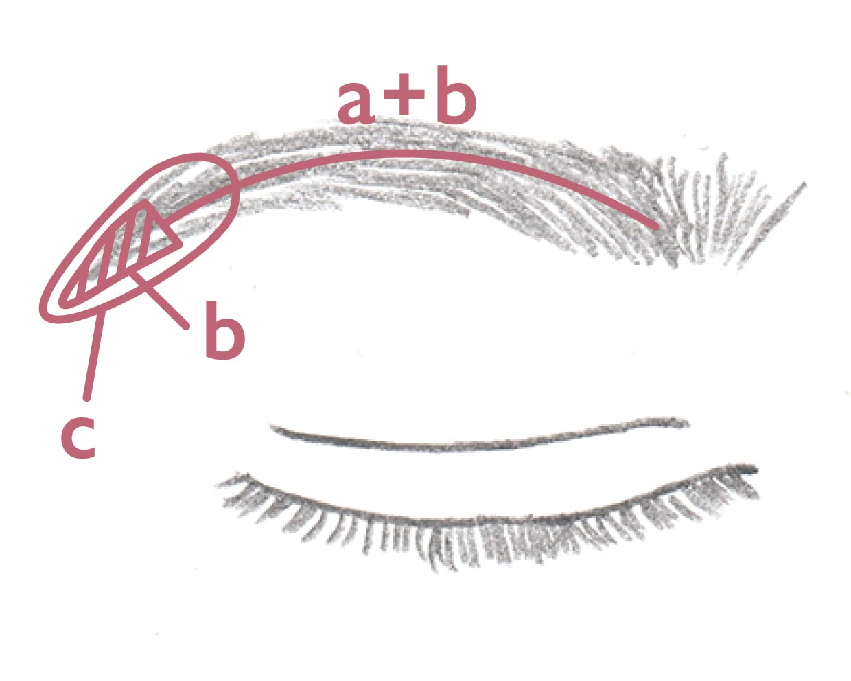 HOW TO MAKE-UP