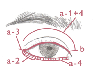 HOW TO MAKE-UP
