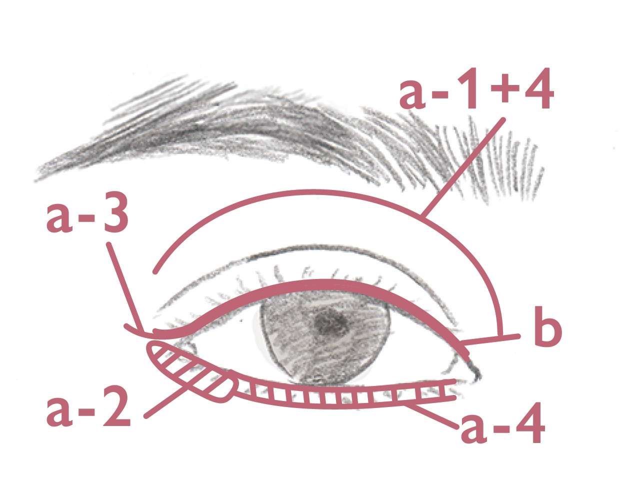 HOW TO MAKE-UP