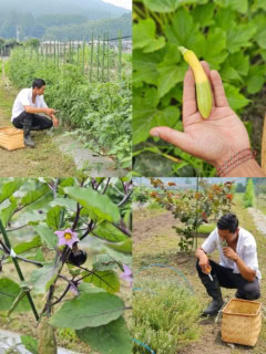 ENOWAのシェフであるタシ・ジャムツォさんが実際に自家ファームに出かけ、野菜を収穫するのに同行