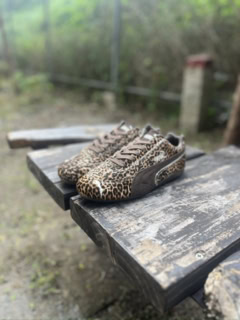 「SPEEDCAT WILD WNS」（9月26日発売）￥16,500（プーマ）